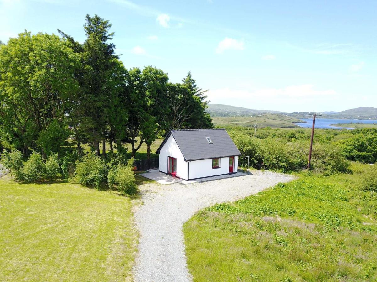 Red Deer Cosy Apartment In Letterfrack Connemara Bagian luar foto