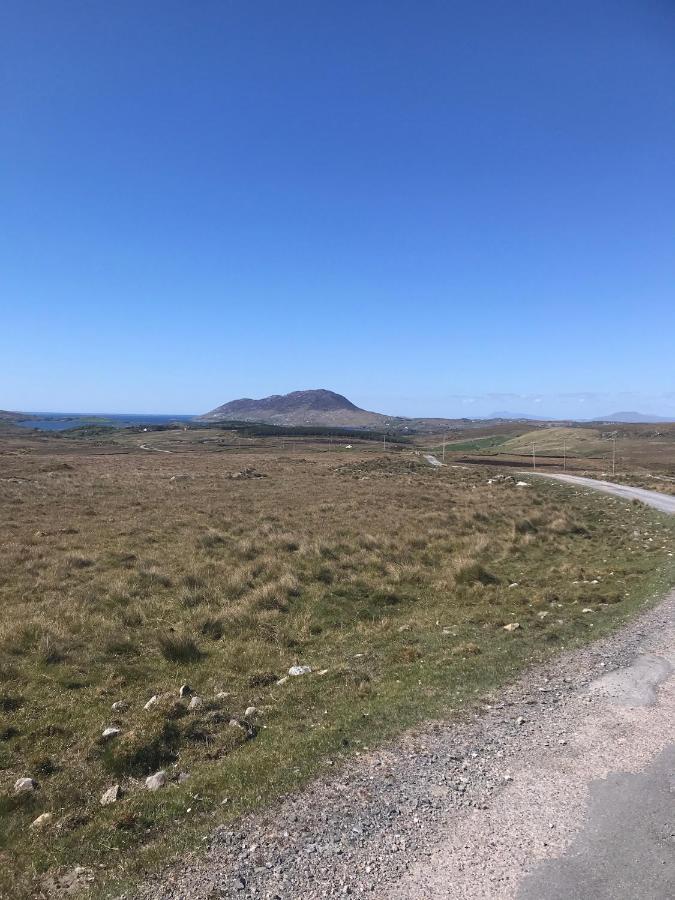 Red Deer Cosy Apartment In Letterfrack Connemara Bagian luar foto