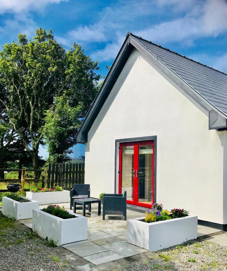 Red Deer Cosy Apartment In Letterfrack Connemara Bagian luar foto