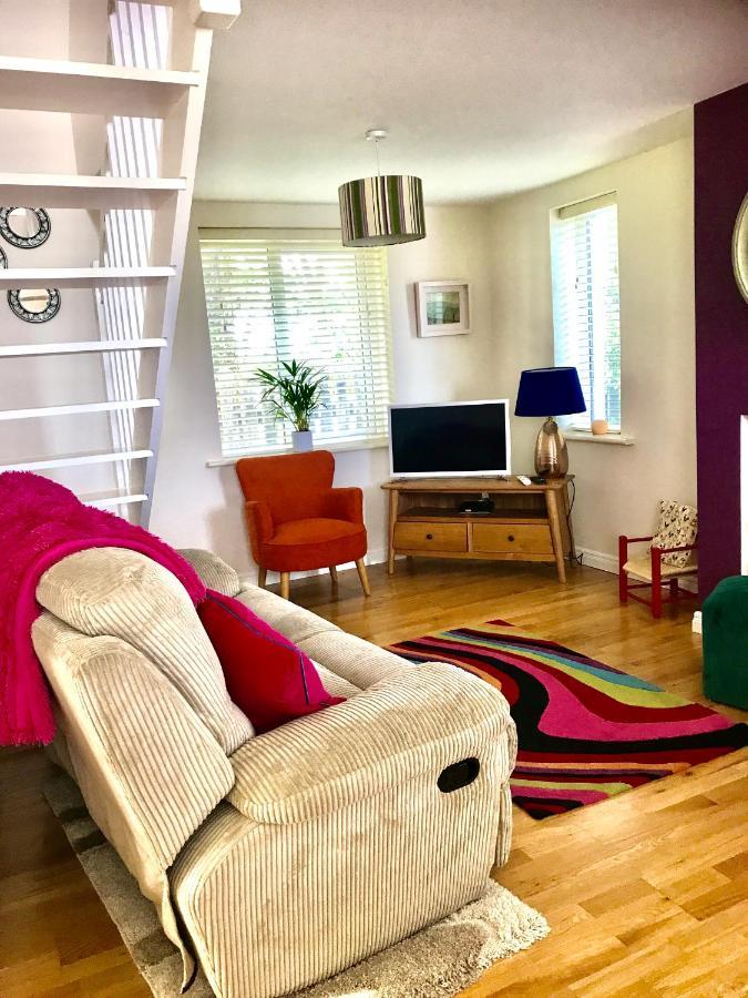 Red Deer Cosy Apartment In Letterfrack Connemara Bagian luar foto