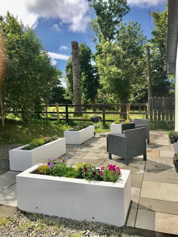 Red Deer Cosy Apartment In Letterfrack Connemara Bagian luar foto